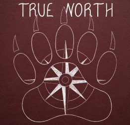 cropped-true-north-1.jpg